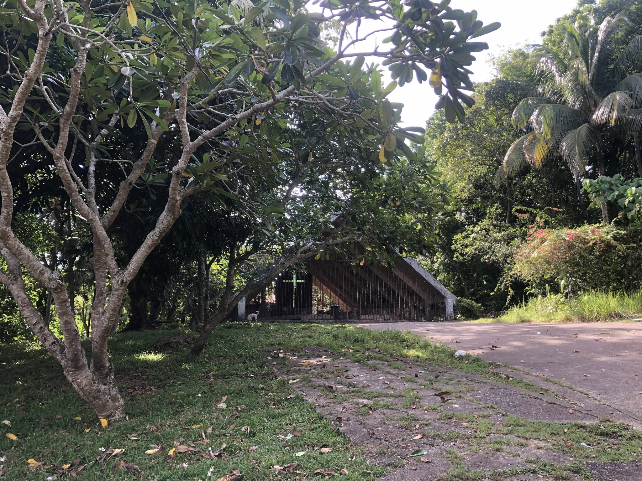 RUINS OF THE OLDEST ORIGINAL STONE CHAPEL (1572) (Ermita Shrine)
