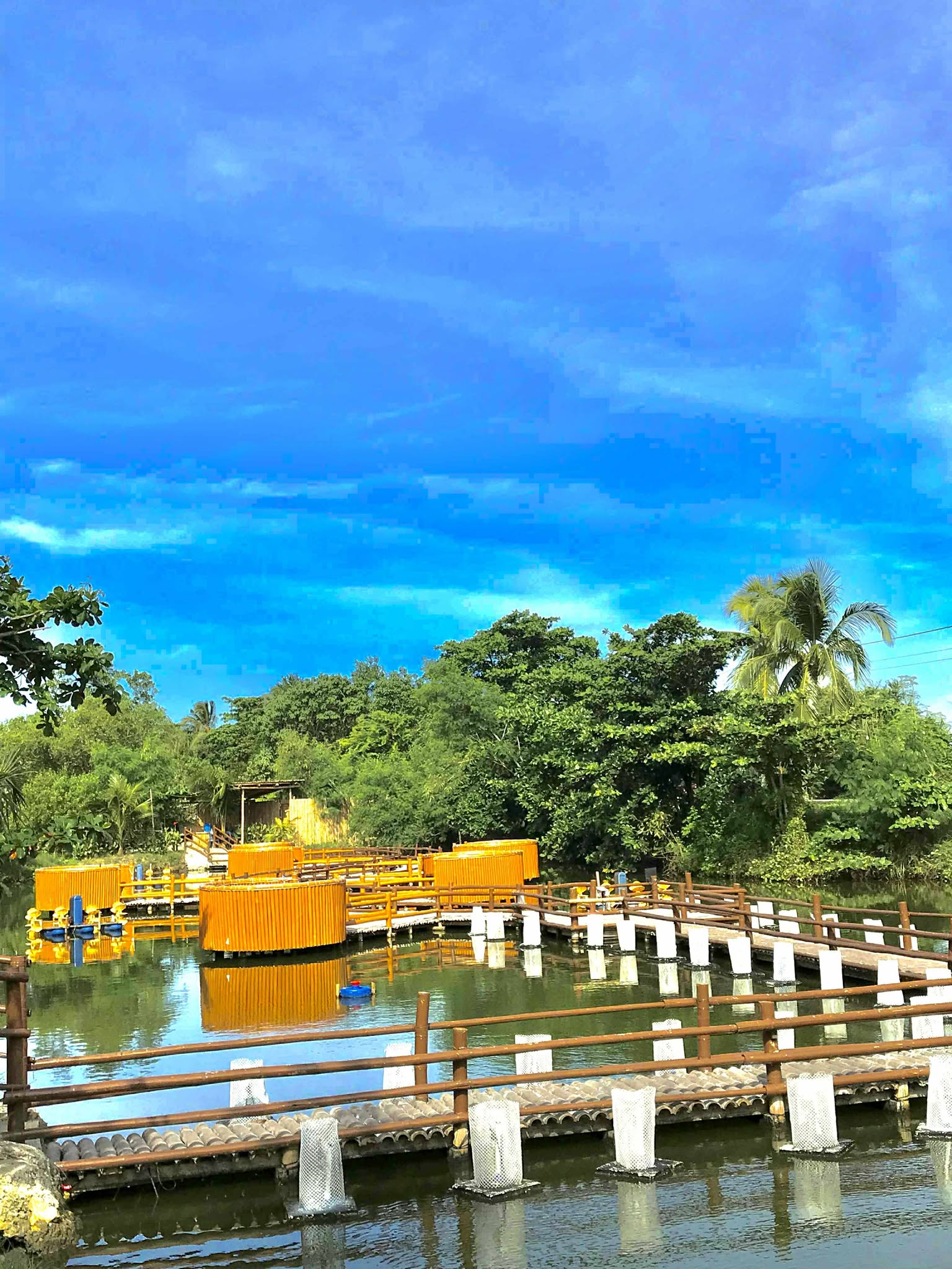 Jobiboss Seafoods and Grill