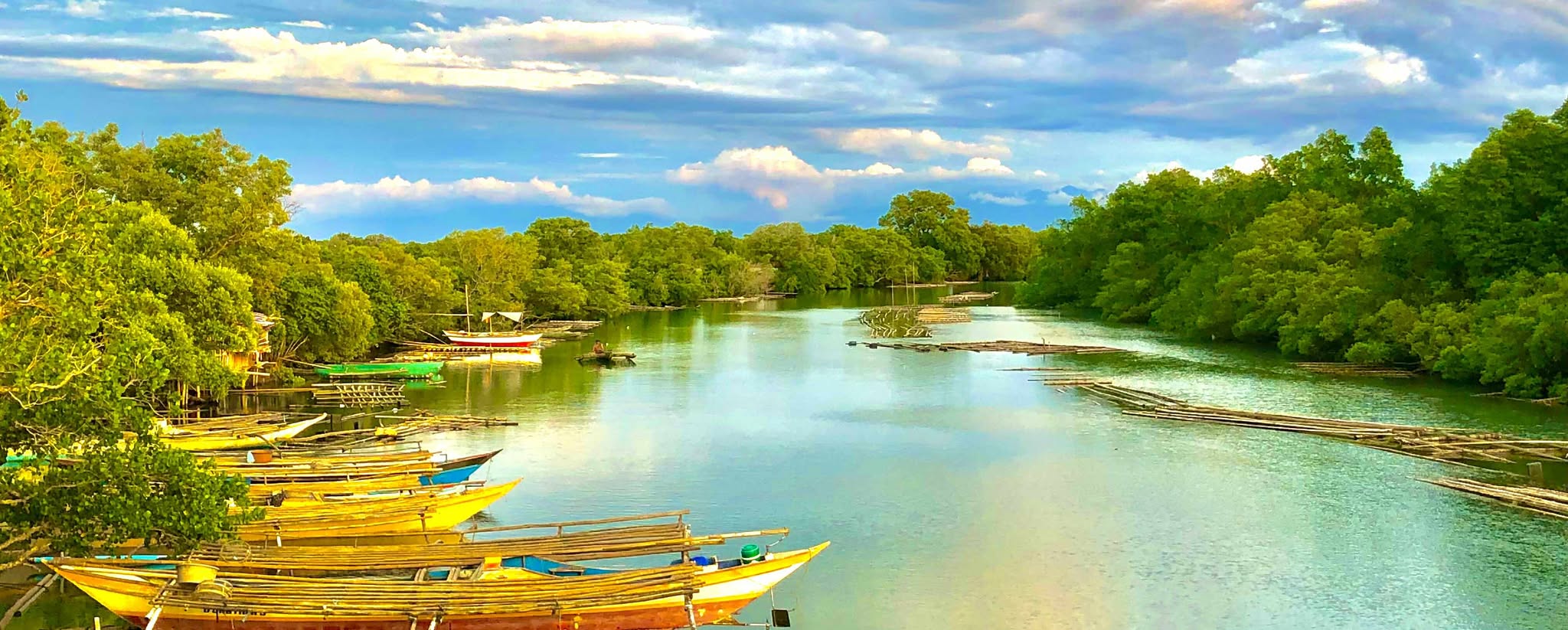 Dumangas background blur